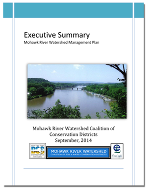 Executive-Summary-20140904-1